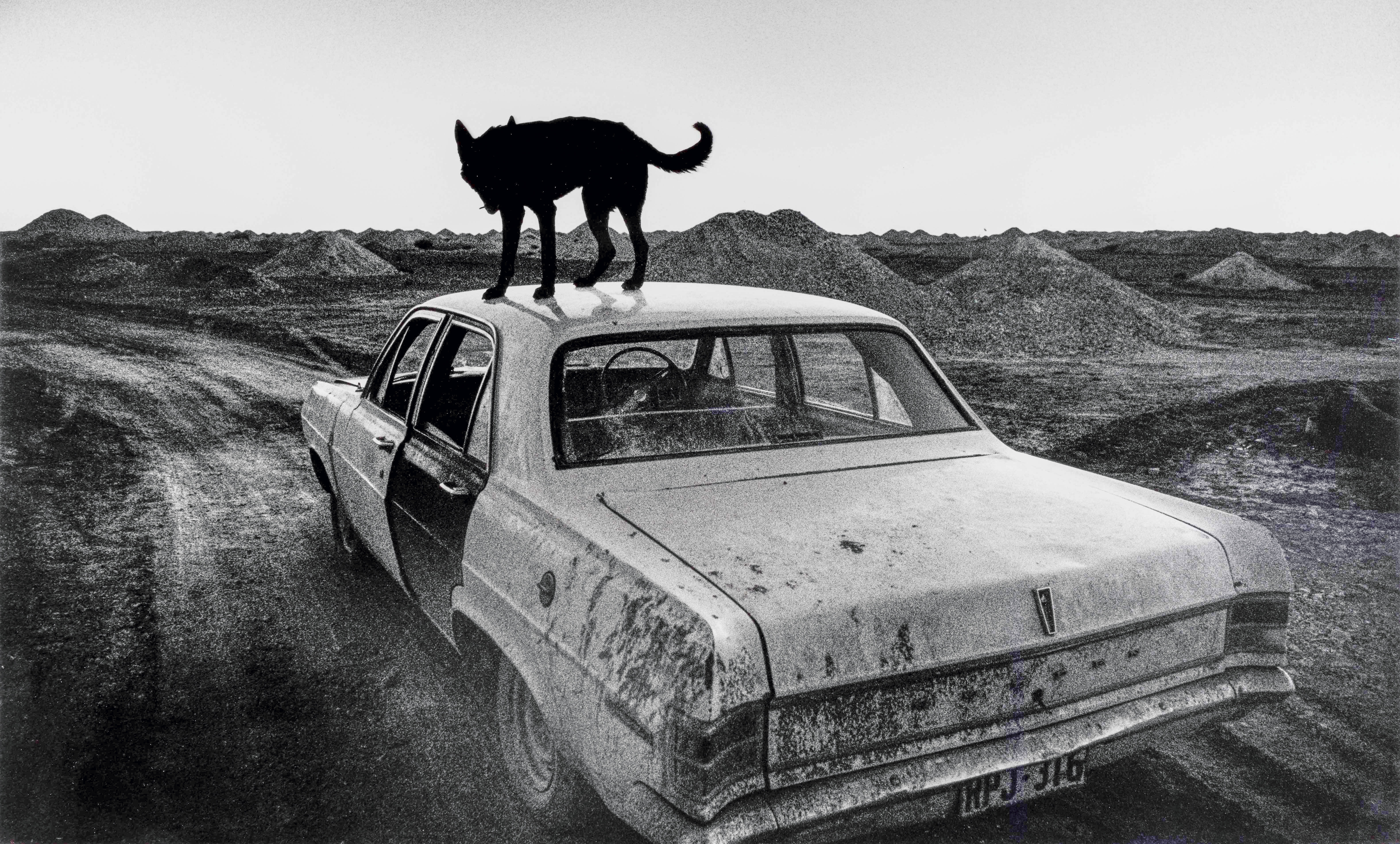 Wim Wenders (*1945): Dämmerung in Coober Pedy, Australien 1978. Schätzpreis: 6.000 bis 8.000 Euro.